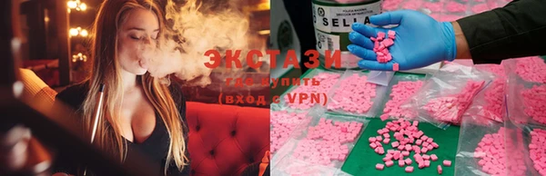 ECSTASY Богородицк