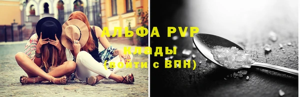 ECSTASY Богородицк