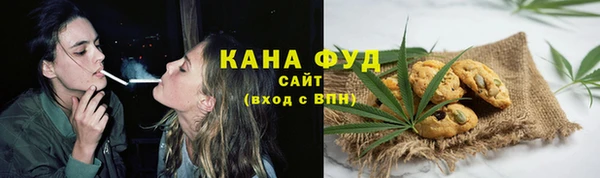 ECSTASY Богданович