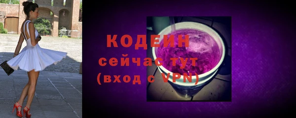 ECSTASY Богданович