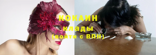 ECSTASY Богданович