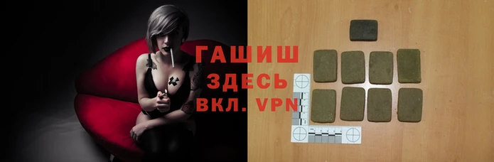 ECSTASY Богданович