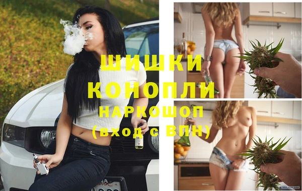 ECSTASY Богданович