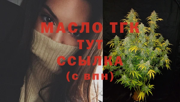 ECSTASY Богородицк