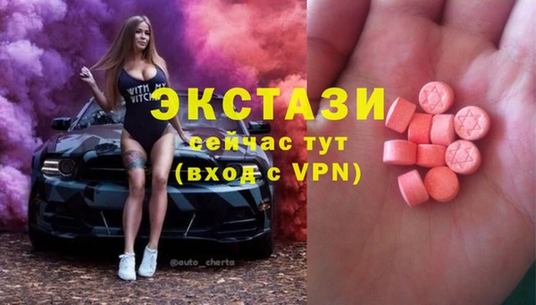 ECSTASY Богородицк