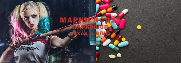 ECSTASY Богданович