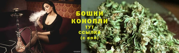 ECSTASY Богданович