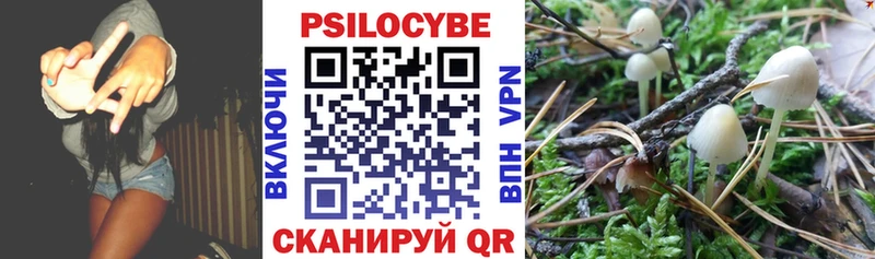 Галлюциногенные грибы GOLDEN TEACHER Благовещенск