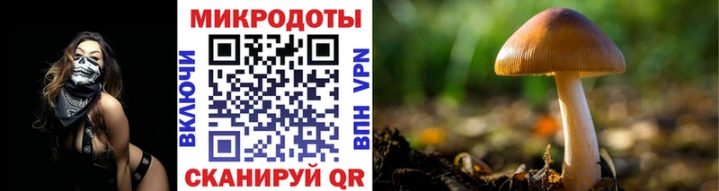 Галлюциногенные грибы Psilocybine cubensis  купить наркотики сайты  даркнет официальный сайт  Благовещенск 